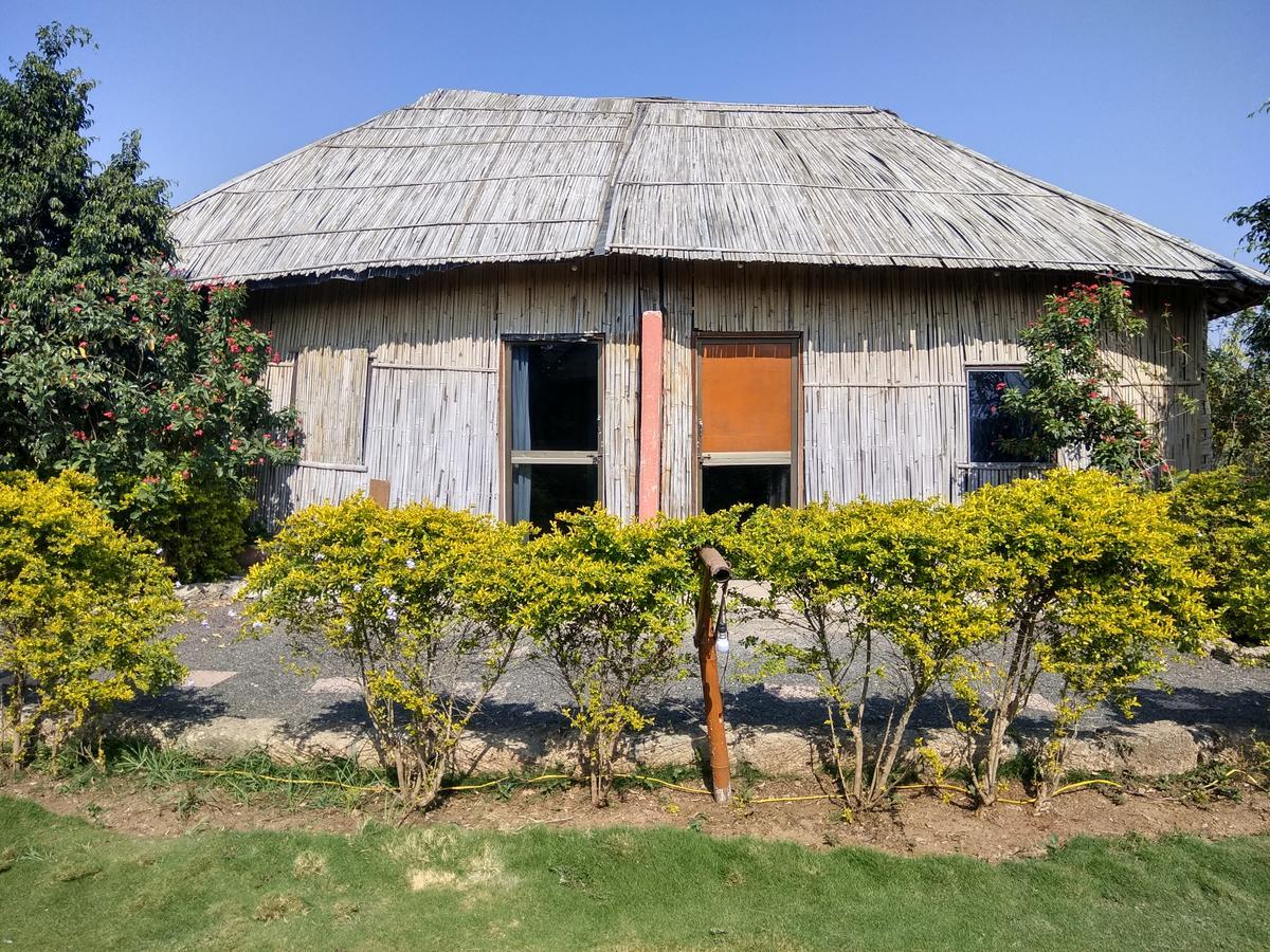 The Hillview Camp Resort Sasan Gir Esterno foto